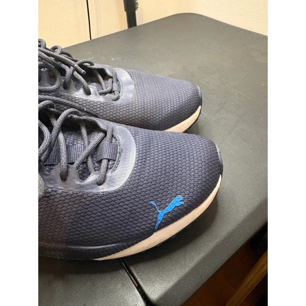 Puma pacer future